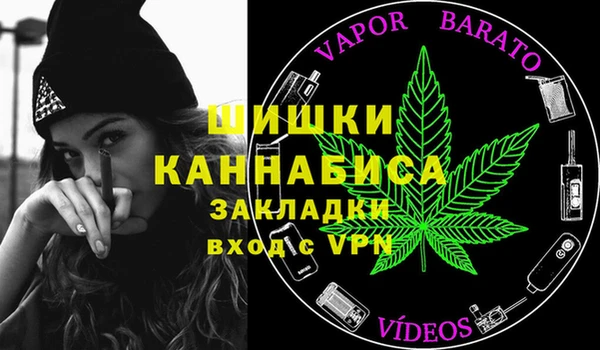 тгк Бронницы