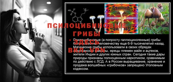 тгк Бронницы