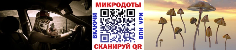 Купить закладки  Правдинск  Галлюциногенные грибы прущие грибы 